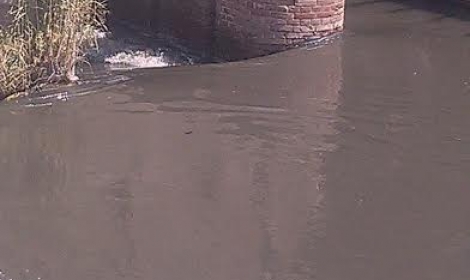 نظام السيسي يحول النيل لصرف صحي