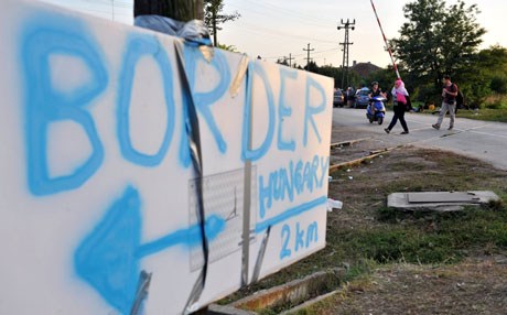 السويد بتتكلم عربي