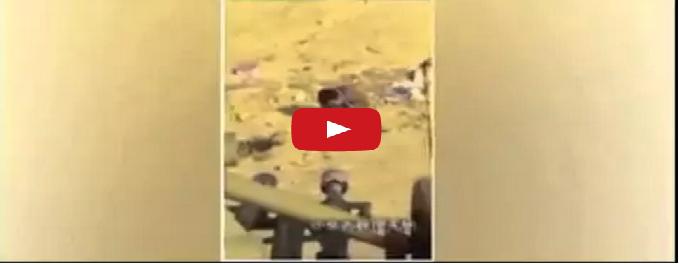 شاهد لحظة إعدام وزير الدفاع الكوري
