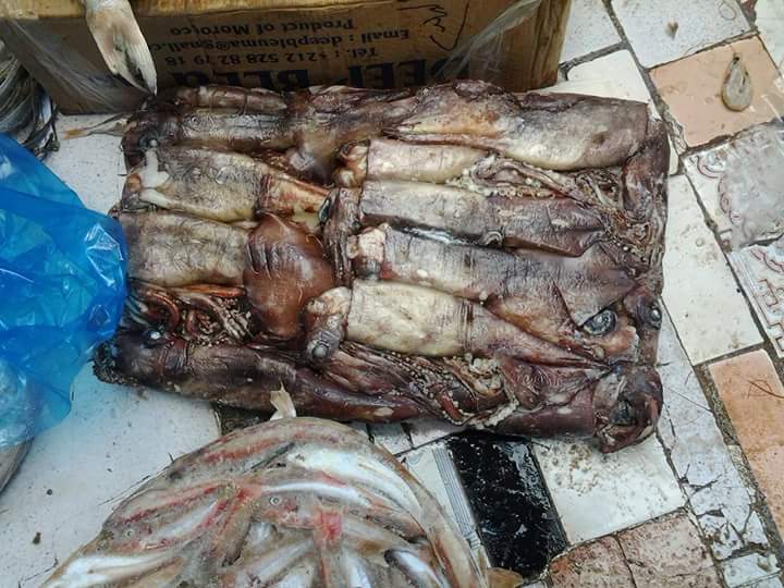 إتلاف 150 كغم أسماك فاسدة في