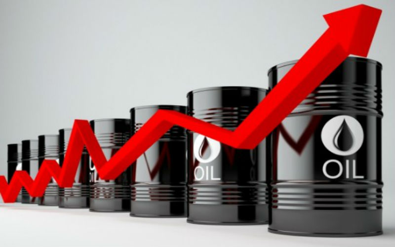 ارتفاع الأسعار النفط عالميا