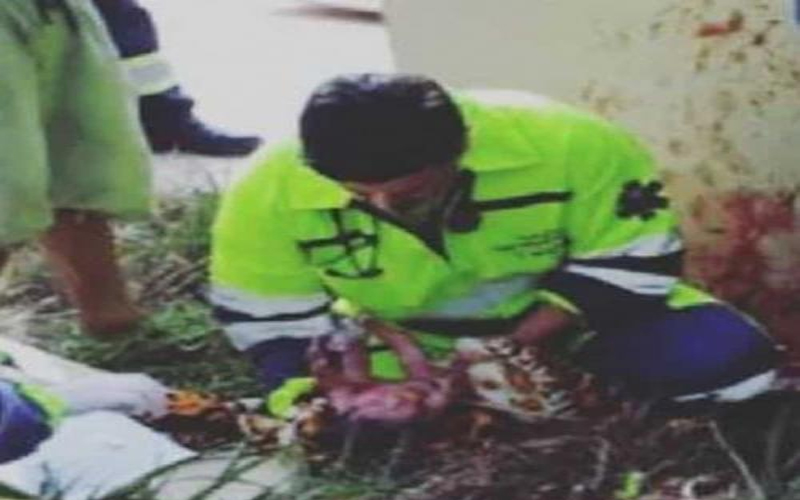 بالصور .. جنين يخرج من رحم