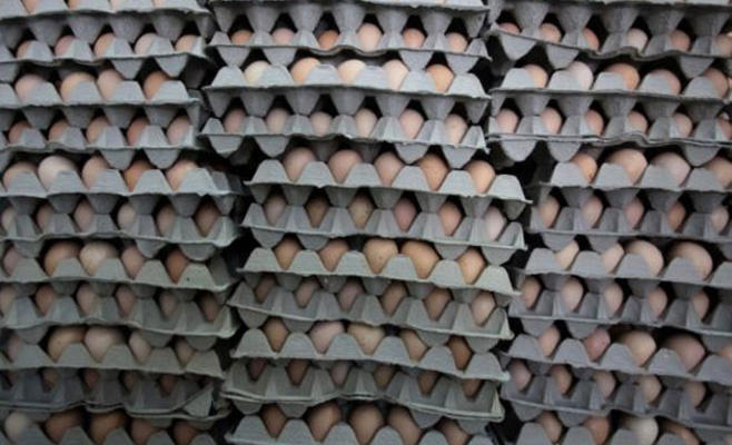 ضبط ١١٨ طبق بيض فاسد في