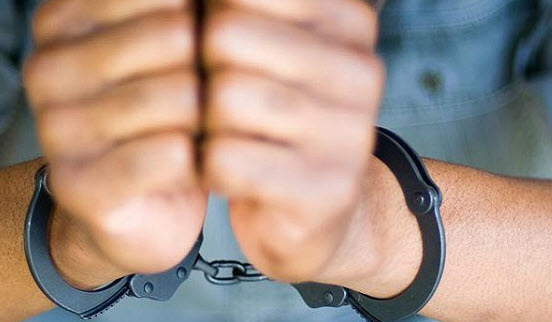 القبض على لصين امتهنا سرقة المزارع