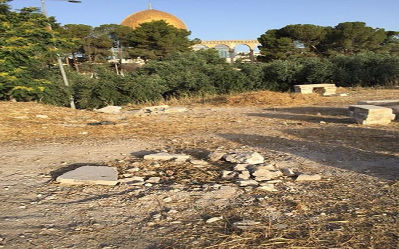 جهود أردنية تثمر عن سحب نقطة
