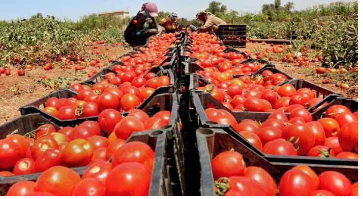 وفد إماراتي في الأردن للتأكد من