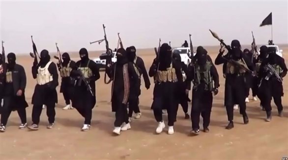 العراق: مقتل 13 من داعش في