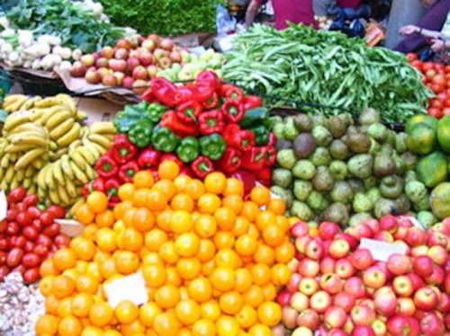 ألف طن صادرات الأردن من الخضار