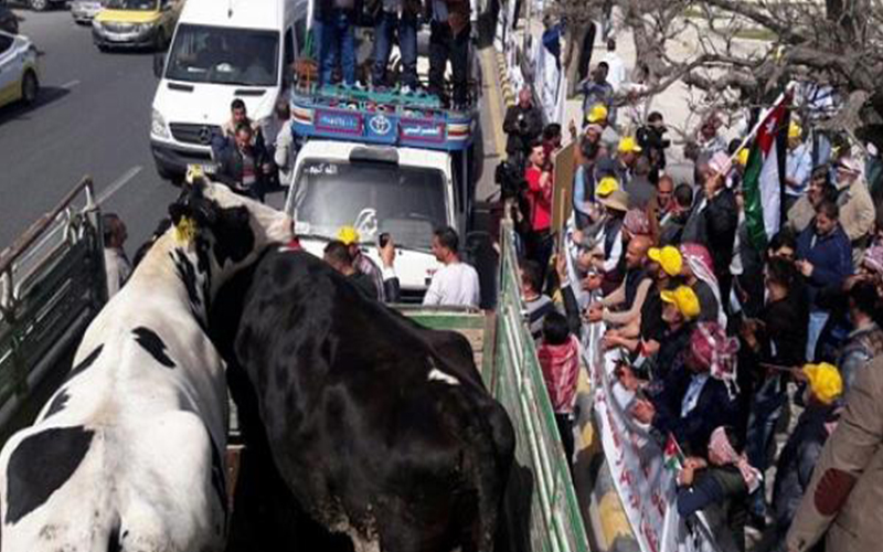 مزارعون يطالبون الرزاز بانقاذ القطاع والغاء