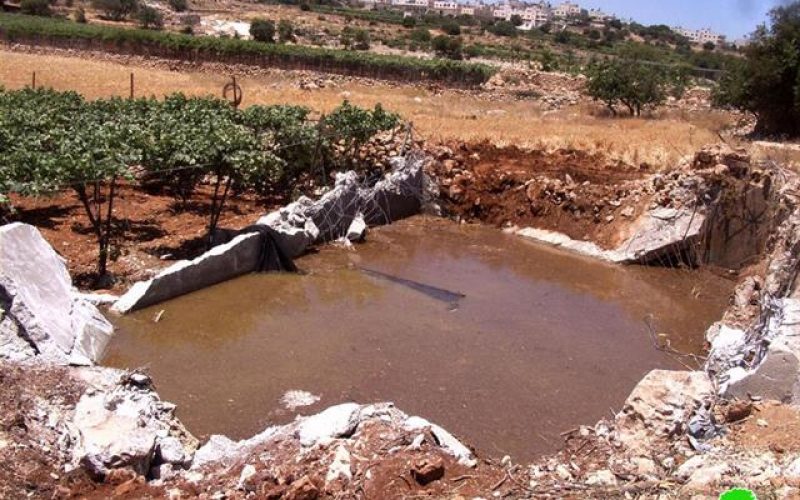 وفاة طفلة باكستانية غرقا داخل بركة