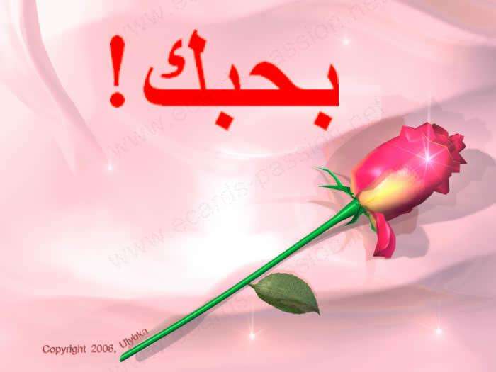 الحب يتسبب بفصل طالبة وطالب من