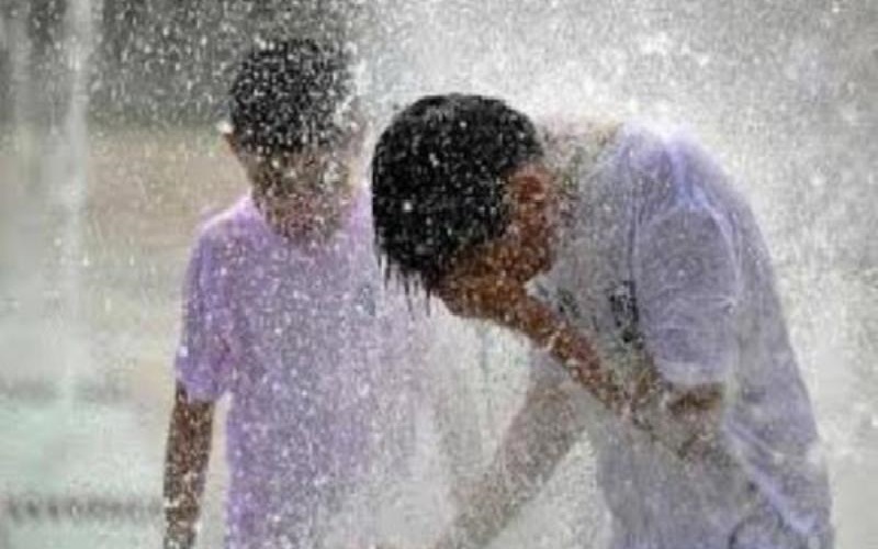 موجة حر تودي بحياة 660 شخصا