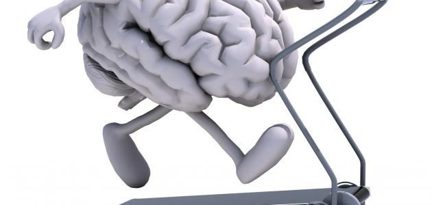 تقوية الذاكرة وسرعة الحفظ