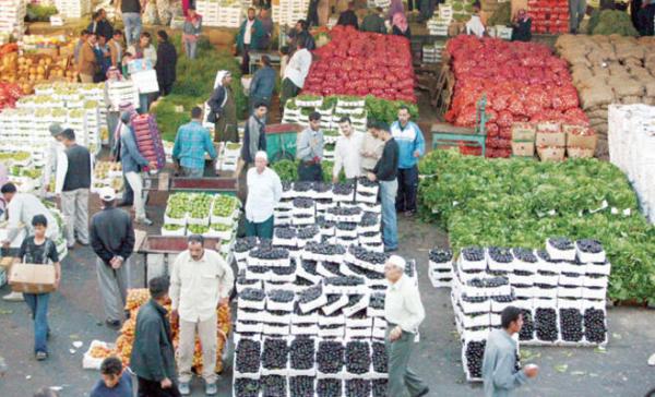 2690 طن خضار وفواكه ترد للسوق