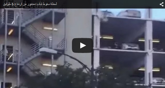 بالفيديو.. لحظة سقوط شاب مخمور من