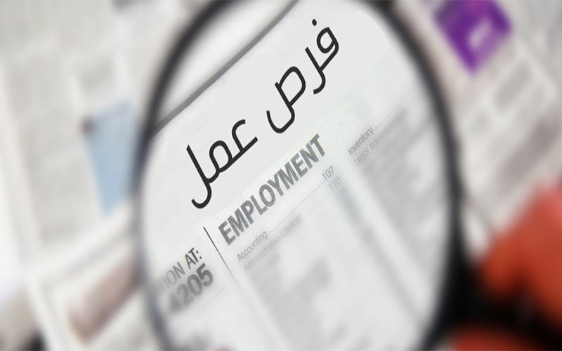 مشروع هولندي يوفر 1500 فرصة عمل