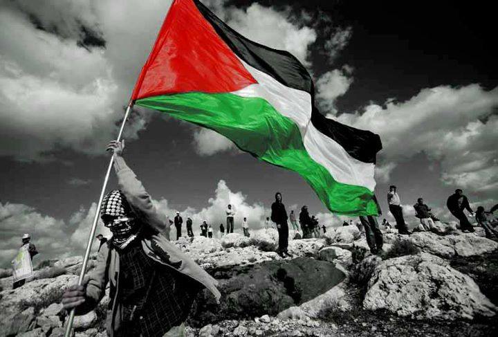 وهم الهوية الفلسطينية