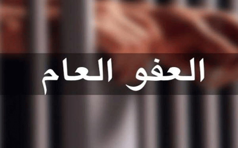 النائب عطية يناشد الملك اصدار عفو