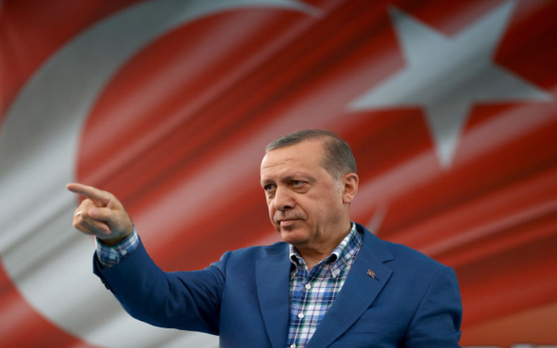الحكومة الألمانية: ميركل وأردوغان بحثا الوضع