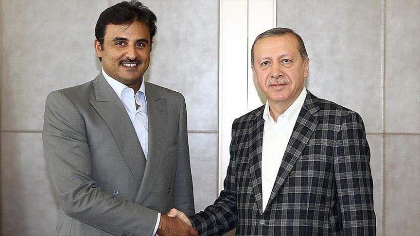 أردوغان و آل ثاني يبحثان الانتهاكات