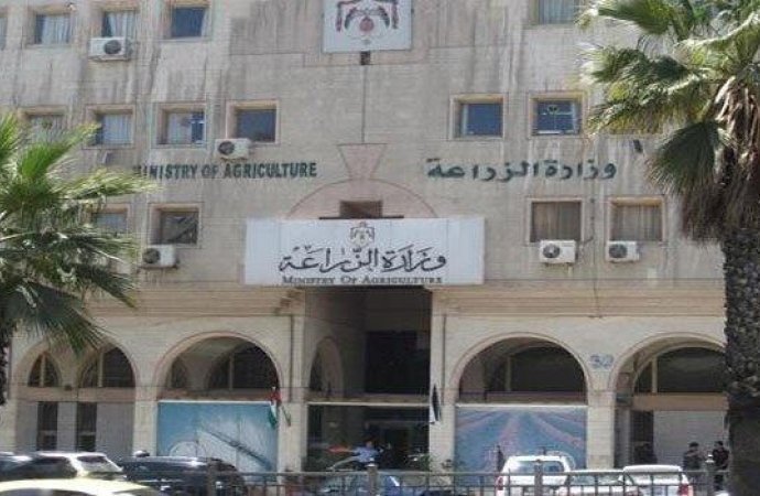 الحنيفات:16% نسبة نمو القطاع الزراعي خلال