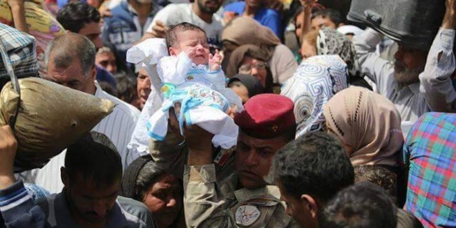 بغداد (مستعدة لتأمين نقل نازحي الانبار