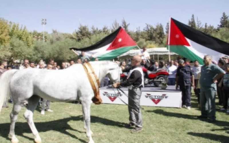 بطولة الاردن الوطنية لجمال الخيول العربية