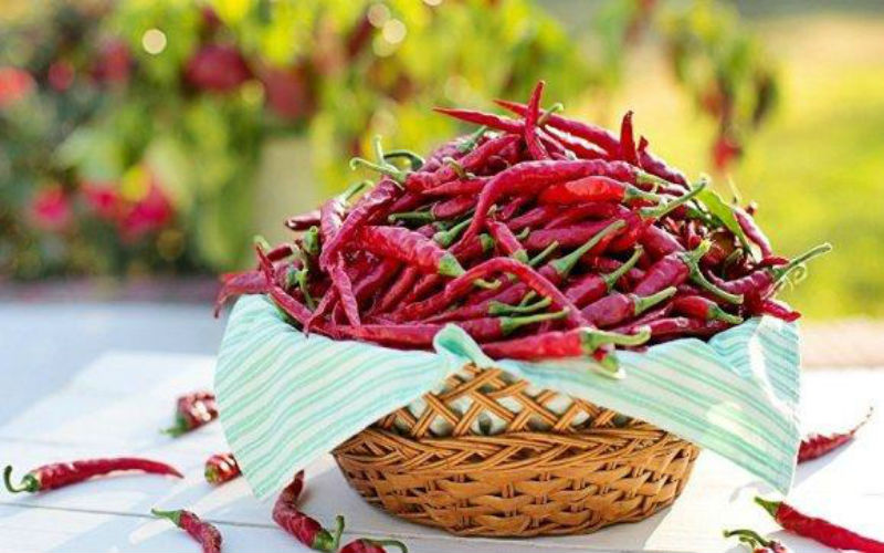 ماذا يحدث عندما تأكل أكثر فلفل