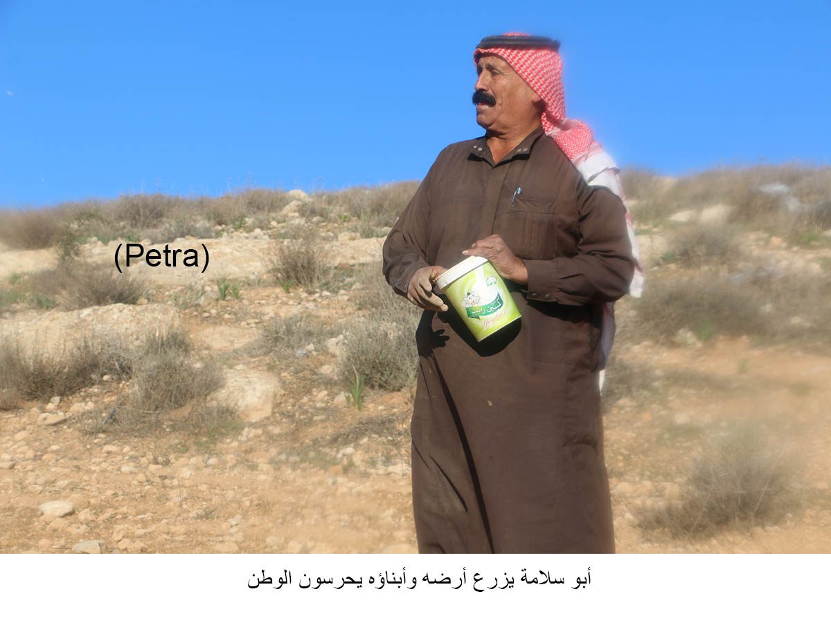 quotأبو سلامةquot يزرع أرضه وأبناؤه يحرسون