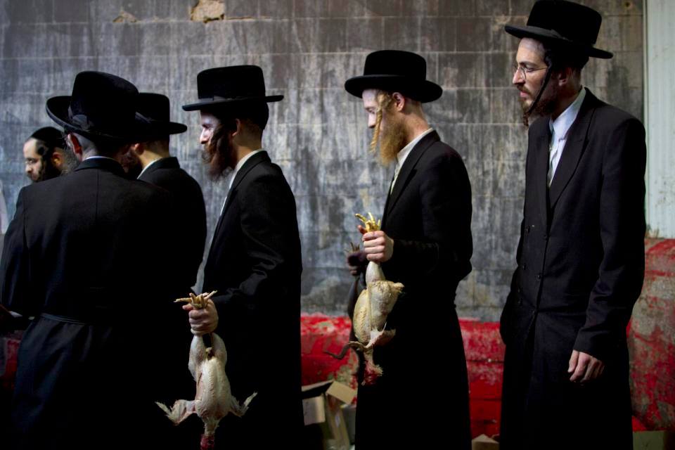 عيد (كيبور) لدى اليهود .. ينقلون