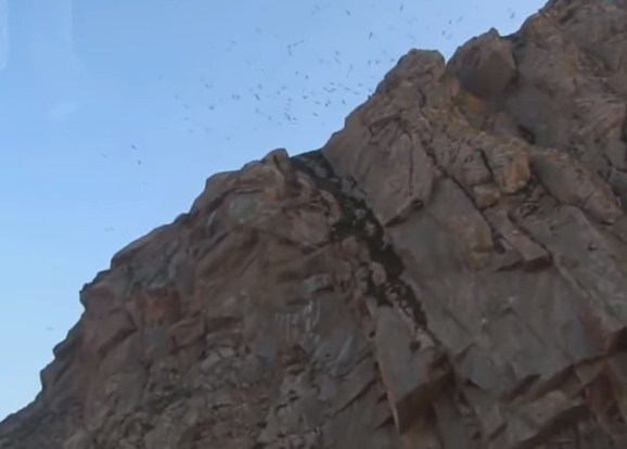 بالفيديو .. سقوط شاب عن جبل