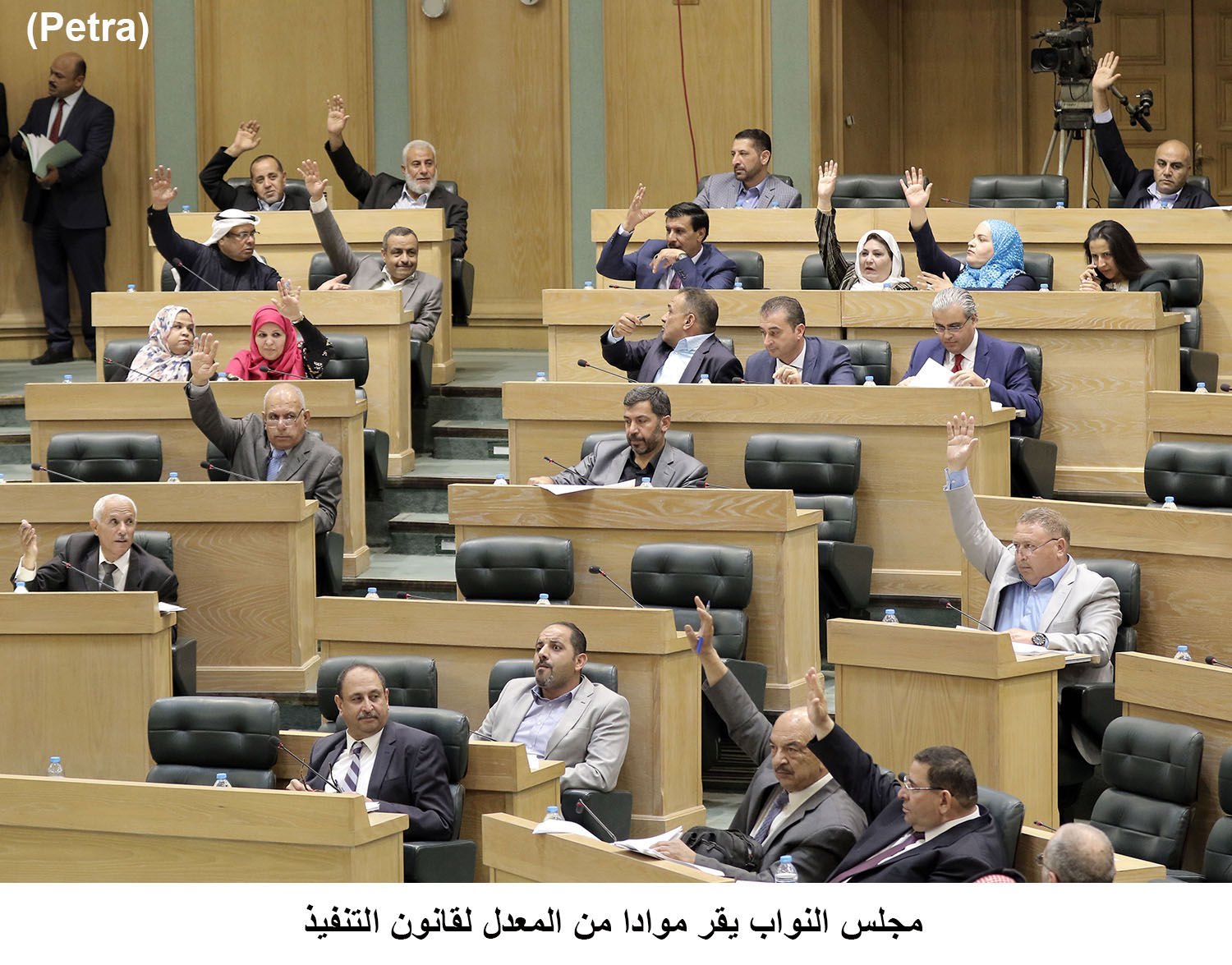 شطب مادة من قانون التنفيذ المعدل