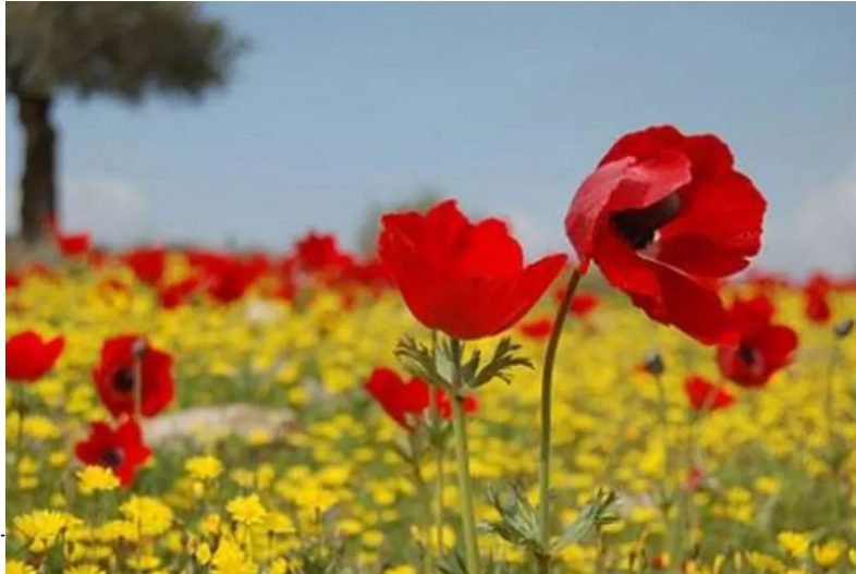 الحرارة تصل الى quot27quot درجة اليوم