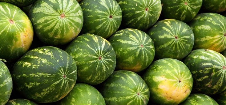 عمان بنكهة البطيخ