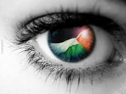 إصابة شاب فلسطيني بعيار مطاطي في