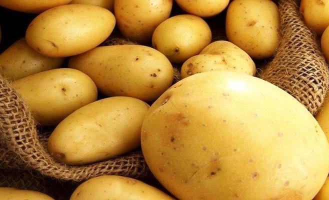 (الزراعة): البطاطا المستوردة من إسرائيل قليلة