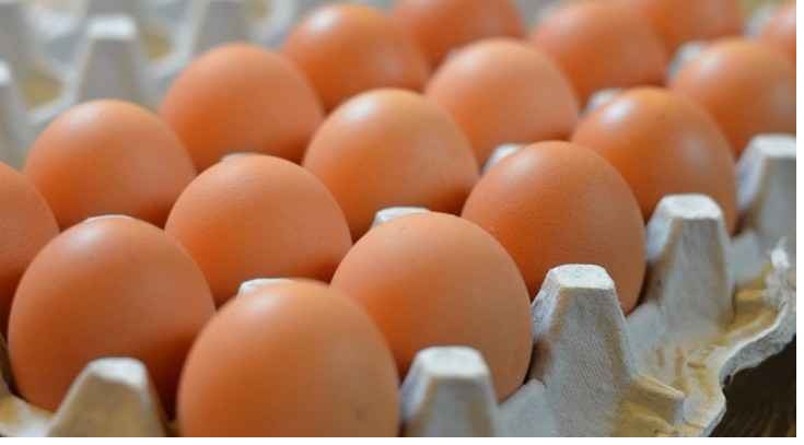 39المستهلك39: ارتفاع اسعار بيض المائدة غير