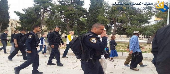 مستوطن يحاول أداء صلوات تلمودية داخل