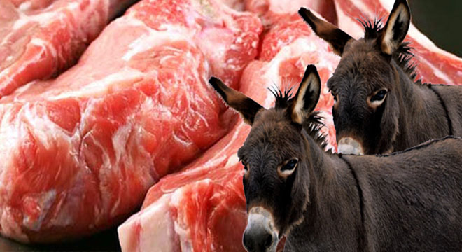 قصاب يقر ببيع لحوم الحمير في