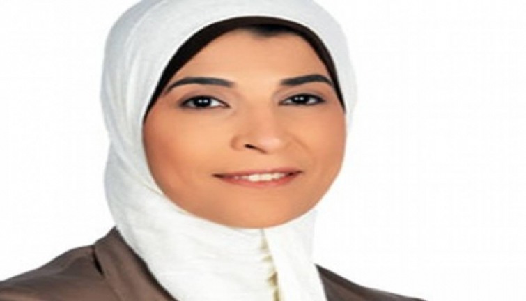 نشوى الحوفي: حبس نقيب الصحفيين ليس