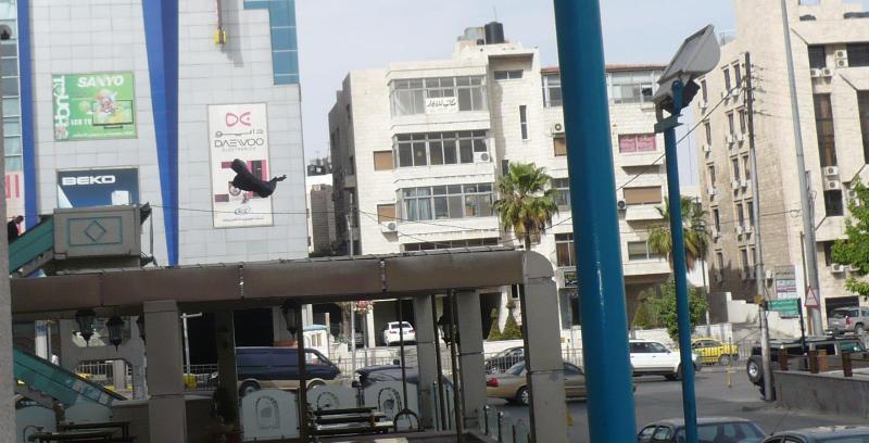 اختفاء (الطائر الأسود) من أجواء المملكة