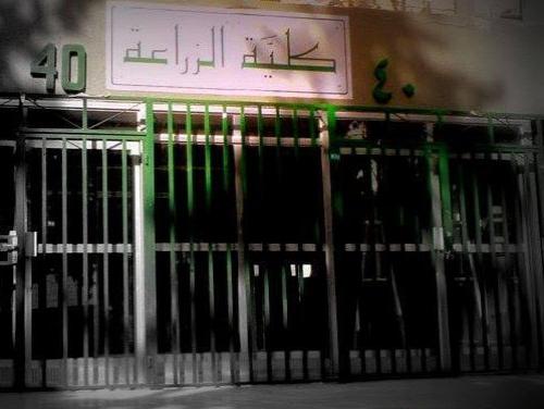 طالب يلقي بنفسه من كلية الزراعة