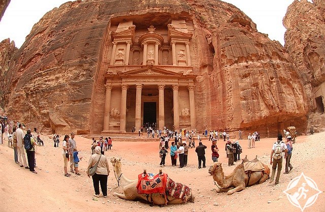 انتهاكات ضد الحمير في البترا