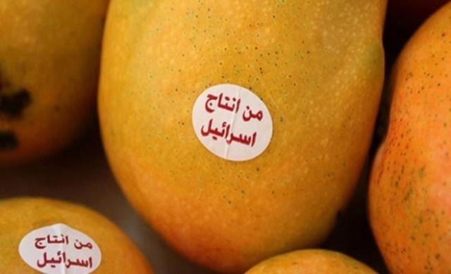 تحذير من انتشار المانجا الإسرائيلية المنتشرة