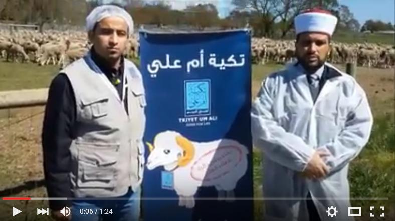 تكية أم علي بدأت باداء الاضاحي