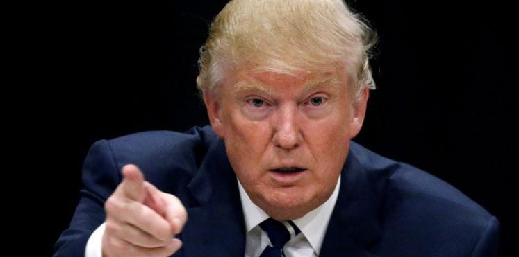 طائر يشبه ترامب يجذب الزوار في