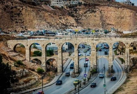 كلاب ضالة تهاجم طلبة مدارس في