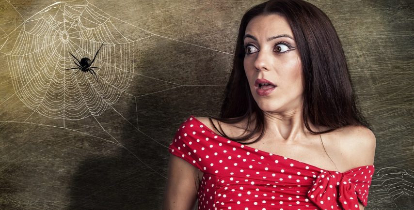 حاربي العناكب بمنتجات مطبخك