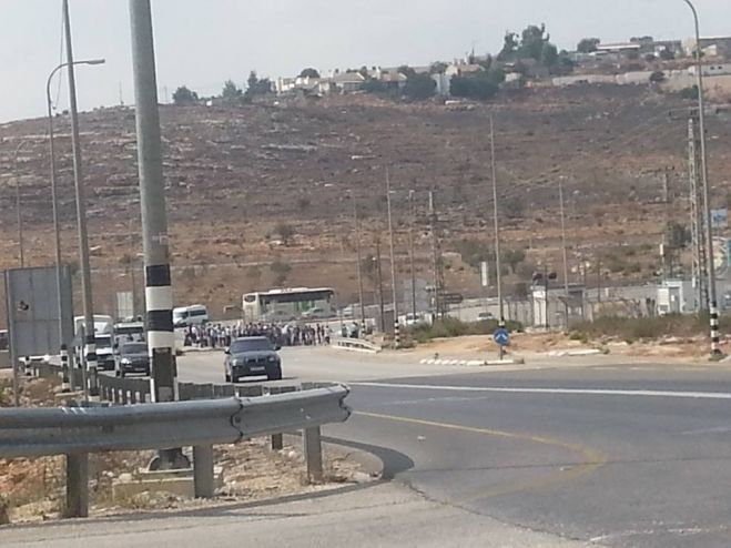 الطرق السلكة في فلسطين .. انهيارات