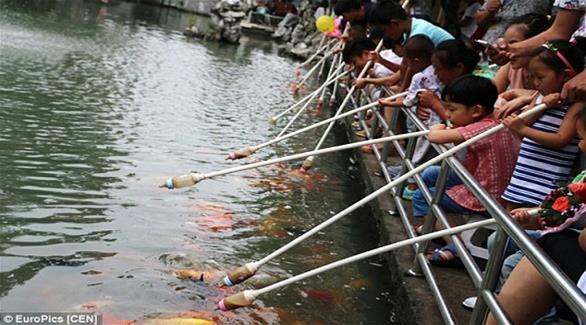 منتزه صيني يوفر لزواره فرصة إطعام